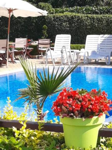 Фотографии Апарт-отели Milennia Family Hotel г. Солнечный Берег (Болгария) №3 Фото Апарт-отели Milennia Family Hotel г. Солнечный Берег 3