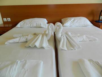 Фото номера Двухместный номер с 2 отдельными кроватями Отель Hotel Privileg г. Солнечный Берег 2