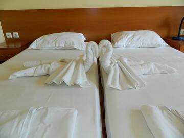 Фото номера Двухместный номер с 2 отдельными кроватями Отель Hotel Privileg г. Солнечный Берег 6