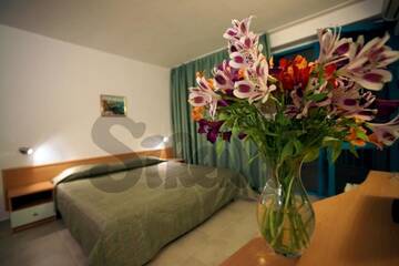 Фотографии Отель Sirena Hotel г. Солнечный Берег (Болгария) №2 Фото Отель Sirena Hotel г. Солнечный Берег 2