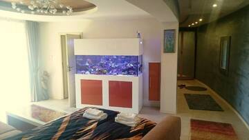 Фото номера Представительские апартаменты Апарт-отели Yassen Holiday Village г. Солнечный Берег 6