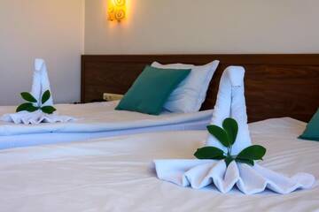 Фото номера Двухместный номер с 1 кроватью или 2 отдельными кроватями Отель Hotel Glarus Beach г. Солнечный Берег 24