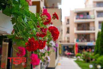Фото номера Номер-студио с балконом (для 3 взрослых) Апарт-отели TSB Sunny Victory Apartments г. Солнечный Берег 20